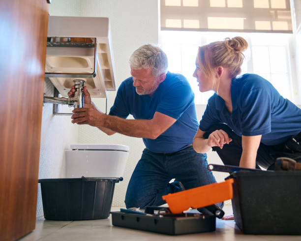 Best Local Plumber Services  in Baldwin, MI